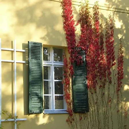 Apartment In Ot Kirchmoser